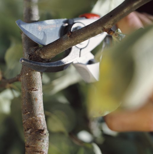 GARDENA Vrtne makaze BP 50 profi / 8702-29 – detalj proizvoda