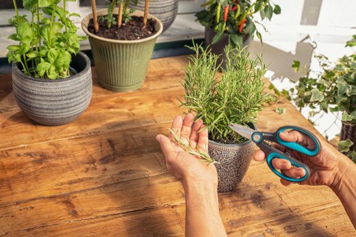 GARDENA HerbCut / 12214-20 – prikaz 2