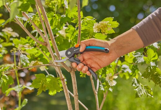 GARDENA Vrtne makaze PremiumCut / 12241-20 – prikaz 2