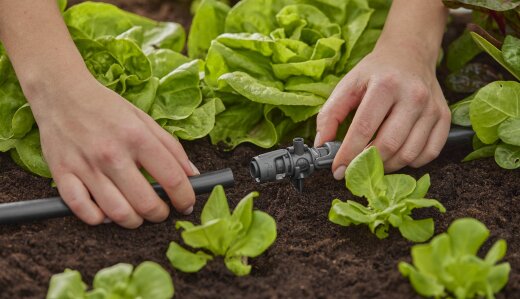 GARDENA Micro-Drip-System T-komad za prskalice (1/2) / 13206-20 – prikaz 2