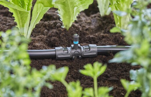 GARDENA Micro-Drip-System T-komad za prskalice (1/2) / 13206-20 – prikaz 3