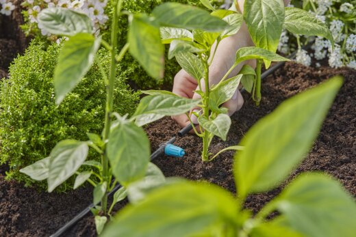 GARDENA Micro-Drip-System podesivi kapljični zaljevač za redove / 13315-20 – prikaz 2