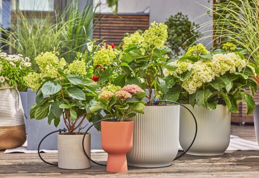 GARDENA Set za zalijevanje biljaka na balkonima / 13401-20 – prikaz 3