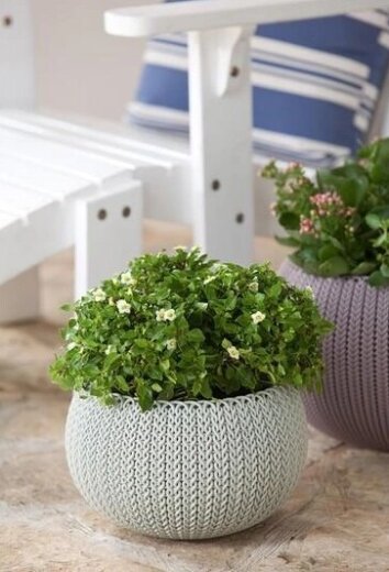 Keter saksija Cozy 36 × 36 × 22 cm, plastika, siva dodatni prikaz