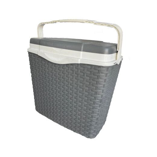 Antartic Frižider vikend prenosivi 24 L rattan / 796176